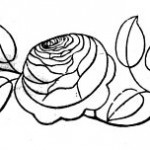 rose