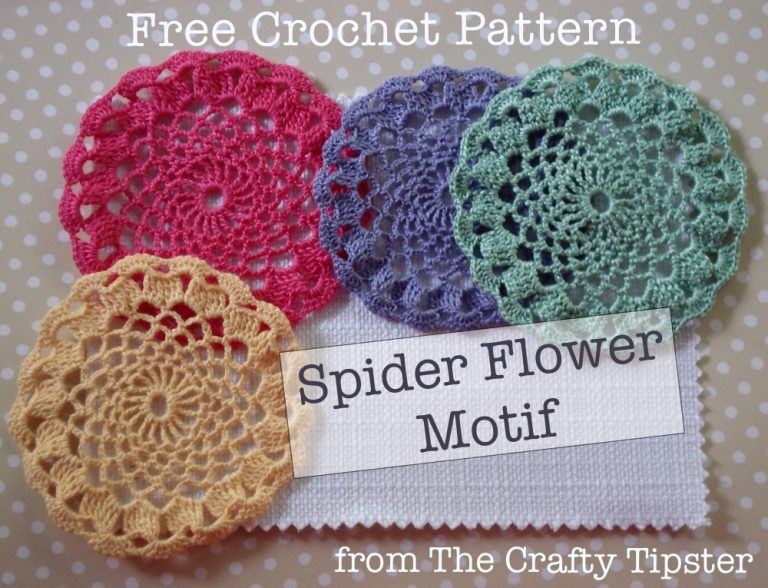 Read more about the article Spider Web Flower Motif